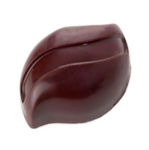 Are All Dark Chocolates Gluten-Free? Know Before You Bite