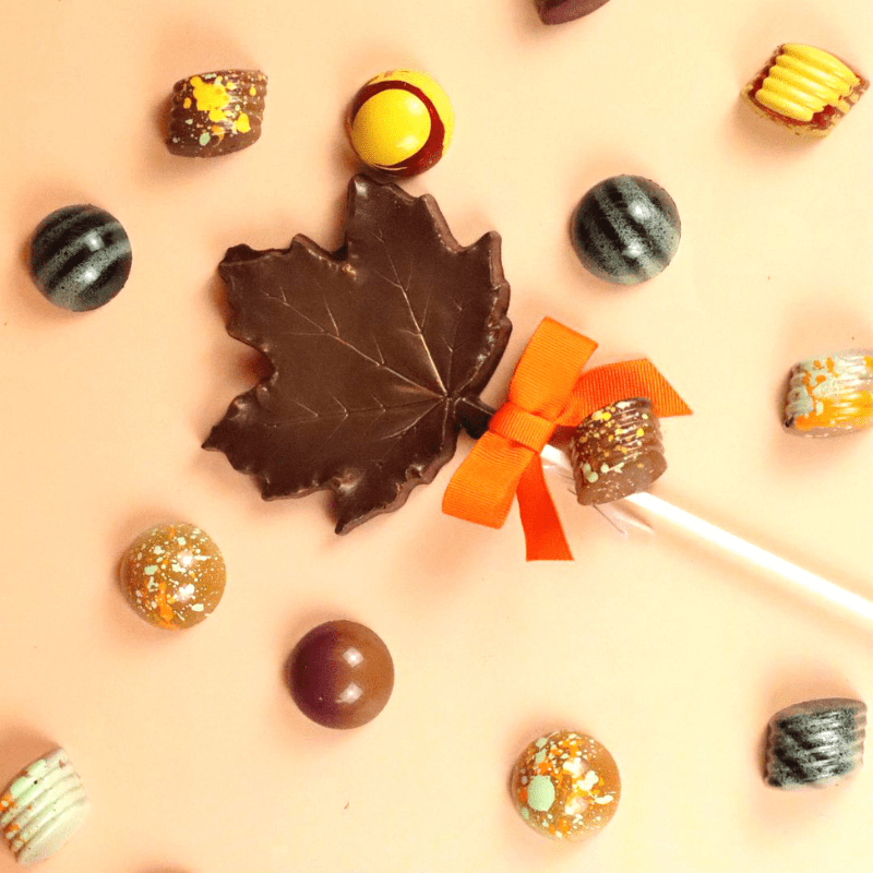 Limited Edition Autumn Leaf Chocolate Lollipop