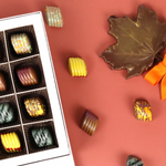 **VEGAN** 25 Piece Fall Chocolate Collection